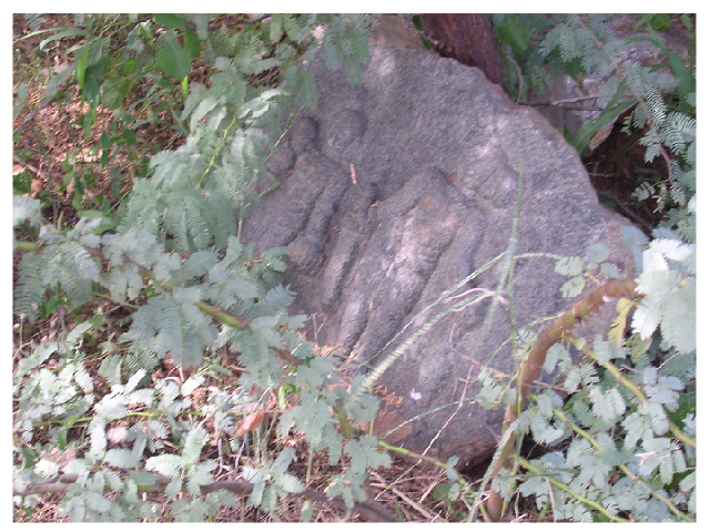 Jain Sculptures at Pallepad