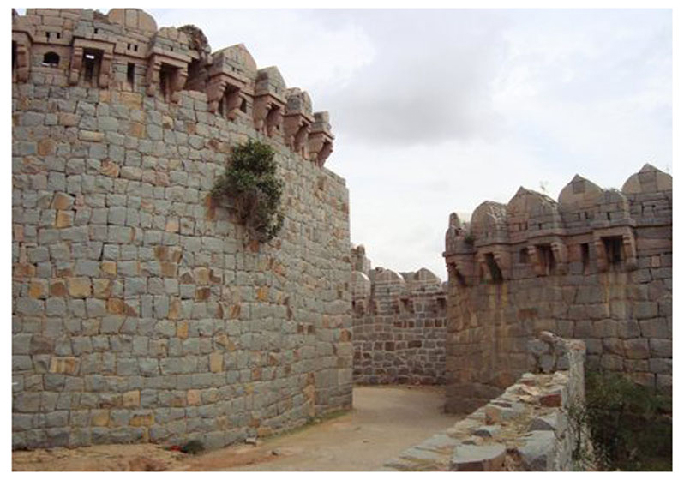 Raichur Fort Inner View